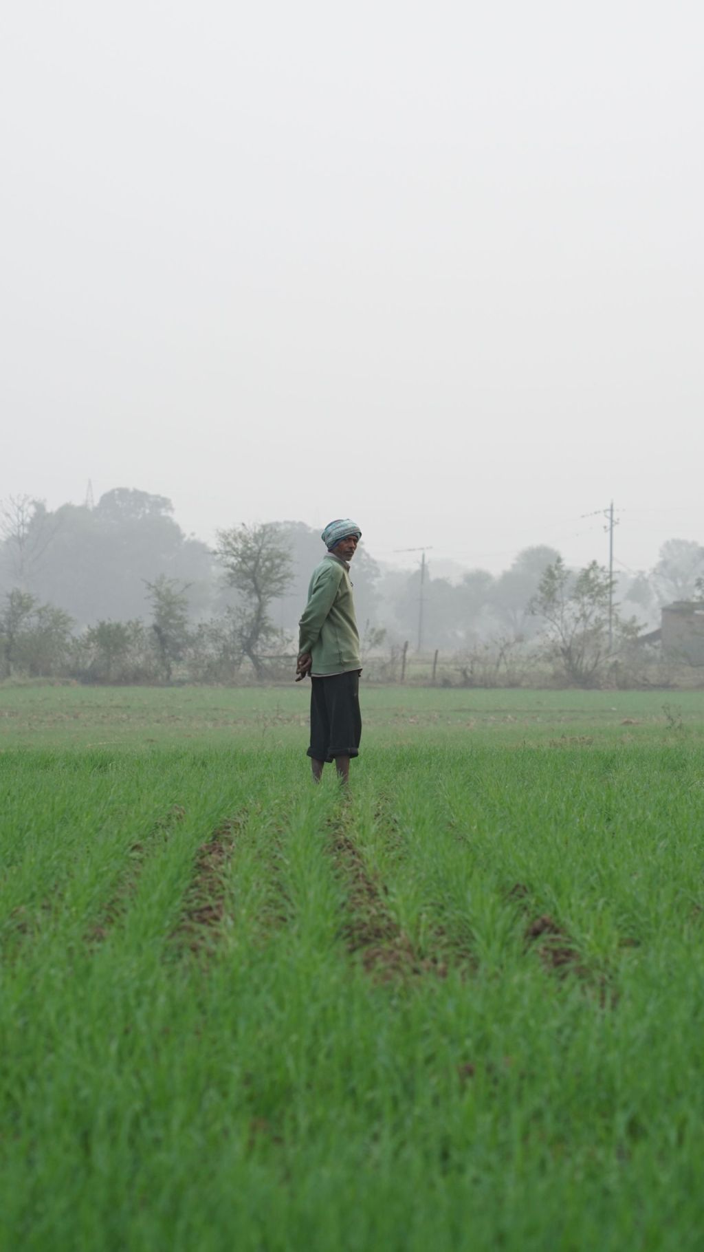 Agricultor en un campo verde